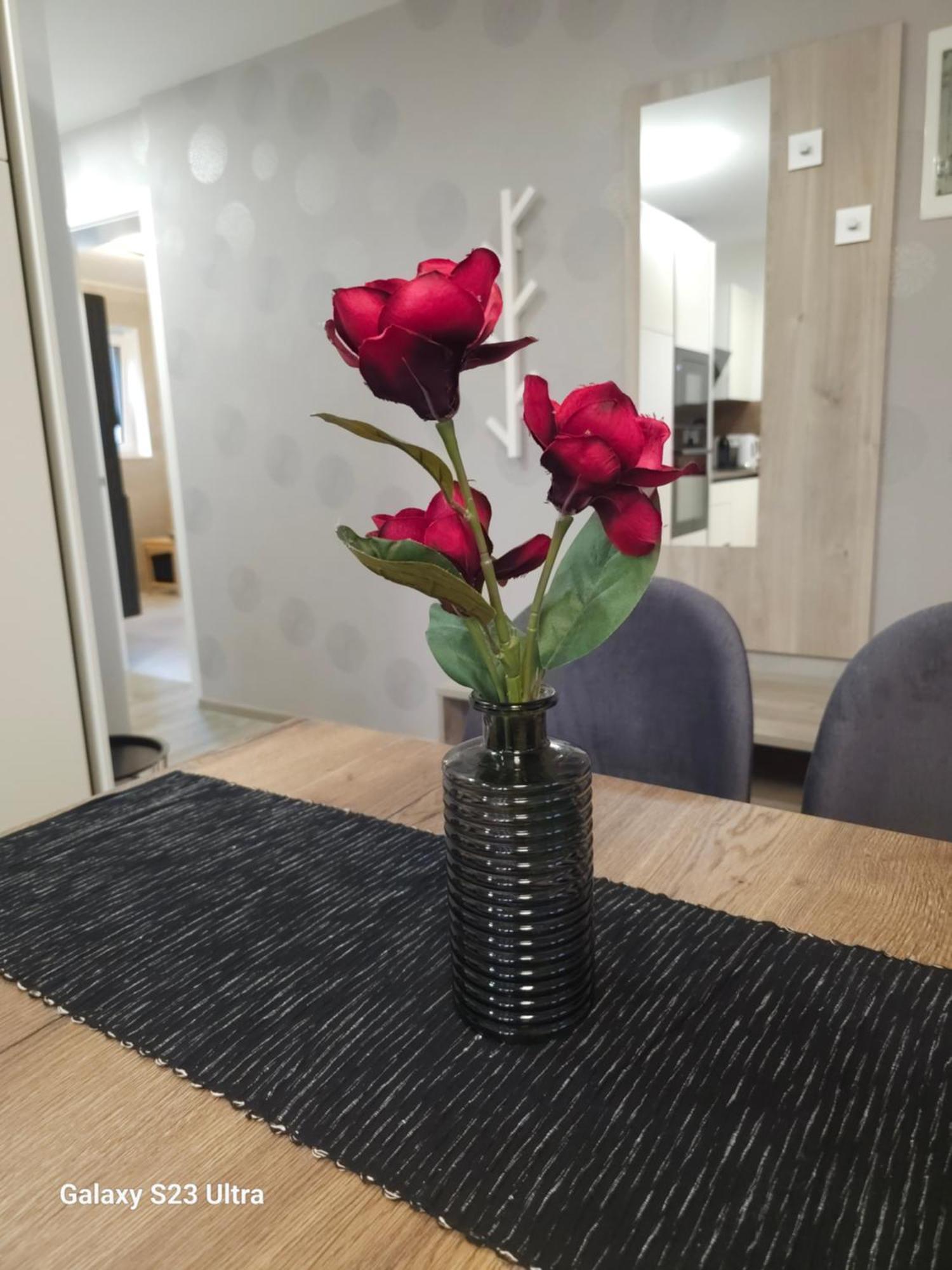 Prima Countryside Apartments زيروفنيكا الغرفة الصورة